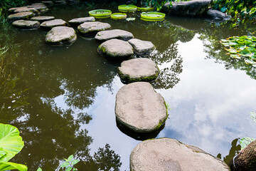 Stepping stones path over a pond
