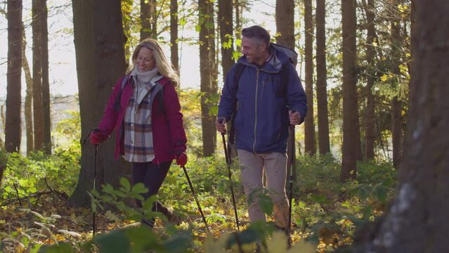 Mature couple walking through fall or winter countryside using hiking poles - shot in slow motion