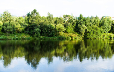 Fototapeta na wymiar Green forest reflecting in the water