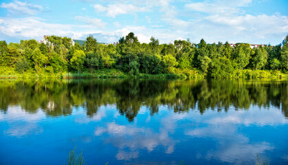 Fototapeta na wymiar Green forest reflecting in the water