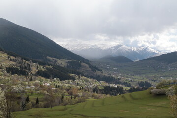 Fototapeta premium amazing spring landscapes on a sunny day.ARTVİN.TURKEY