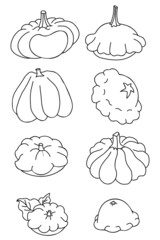 Set of vegetables. Pumpkin and pattison. Vector illustration. Isolated linear hand drawing, Outline for design, decor and decoration