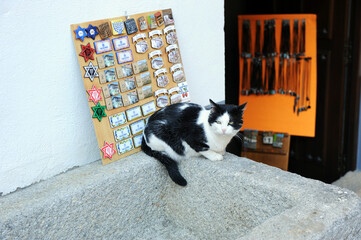Un gato blanco y negro en el barrio judío de Hervás, provincia de Cáceres, Extremadura, España