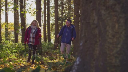 Mature couple walking through fall or winter countryside using hiking poles - shot in slow motion - Powered by Adobe