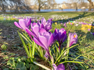 Fototapete bei efototapeten.de bestellen   