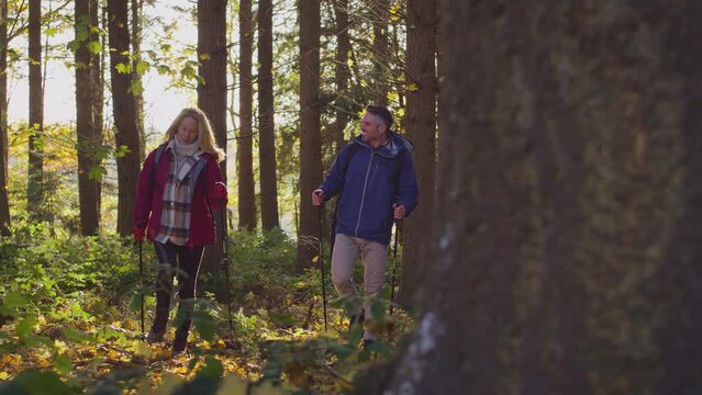 Mature couple walking through fall or winter countryside using hiking poles - shot in slow motion