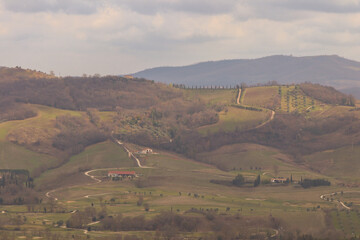Panorama collinare della Maremma Toscana, illuminato dalla luce pomeridiana