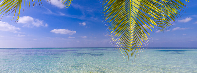 Fantastic beach scene. Beautiful sea horizon with palm leaves, tropical tree over amazing ocean...