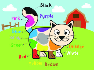 Poster for  learning  colors withCute cat