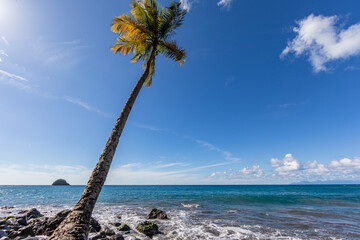 Anse Couleuvre beach - Le Precheur, Martinique French Antilles
