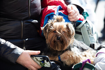 Ukrainian refugees on Lviv railway station waiting for train to escape to Europe