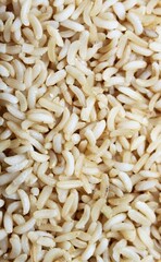 white cooked rice grains closeup