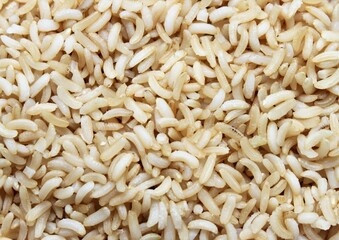 white cooked rice grains closeup