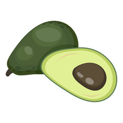 Cartoon avocado fruit vector illustration