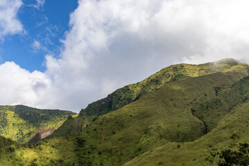 Fototapeta premium Hike to the top of Mount Pelee, Martinique, French Antilles