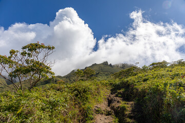 Hike to the top of Mount Pelee, Martinique, French Antilles