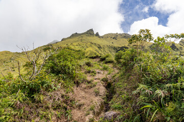 Hike to the top of Mount Pelee, Martinique, French Antilles