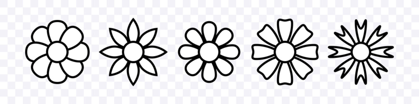 Flowers set. Flowers icons. Vector clipart isolated on transparent background.