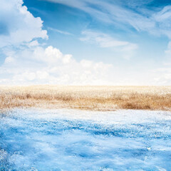 Fototapety na wymiar - Fototapeta24.pl