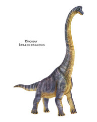 Brachiosaurus illustration. Violet long neck dinosaur - obrazy, fototapety, plakaty