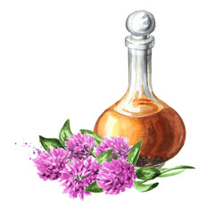 Red pink field clover homemade tincture  Hand drawn watercolor illustration isolated on white background