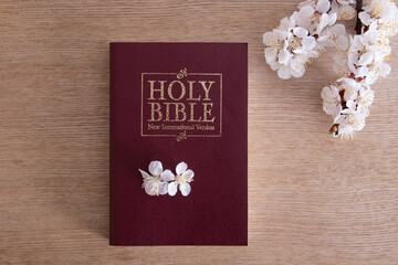 Holy bible on table top view with blooming spring branch