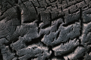 Close-up of a charred wood. Texture