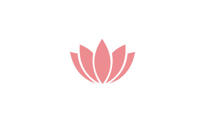 illustration lotus flower