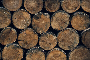 Pile of old brown logs