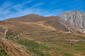Fototapeta premium landscape with blue sky