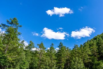 長野県川上村の山の風景