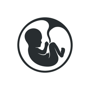 Fetus icon vector images