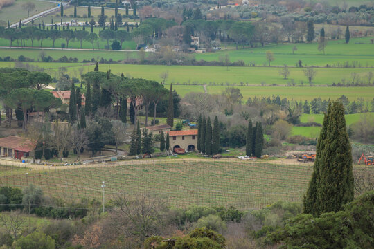 Panorama agricolo della campagna maremmana.