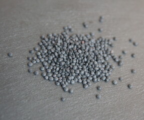 Lenteja Beluga, classic spanish variety of  lentil (Lens culinaris or Lens esculenta),  edible legume, lens-shaped seeds on grey stone background