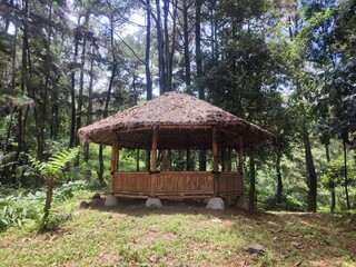 gazebo made of bamboo sticks, which is in a pine forest.