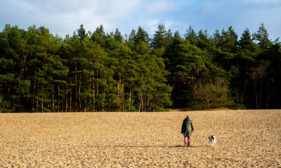 Dune landscape with wanderer and dog
