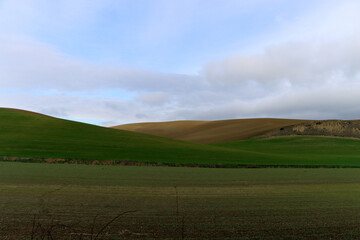 Hill - landscape with green and yellow hills