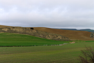 Fototapeta premium Hill - landscape with green and yellow hills