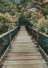 Wooden bridge in Baddegana wetland park