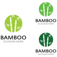 Fototapeta premium Logo of a bamboo plant or a type of hollow plant. Using a modern illustration business vector concept design