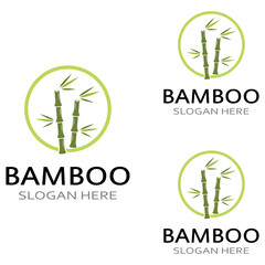 Logo of a bamboo plant or a type of hollow plant. Using a modern illustration business vector concept design