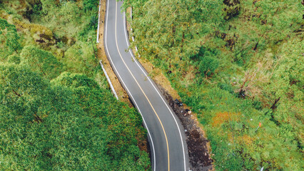 Road through green forest, Forest top aerial view, Texture of forest view from above