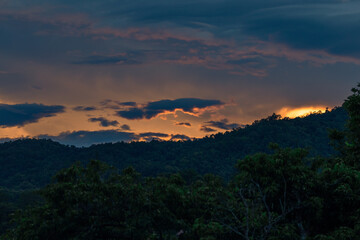 Natural blurred background of fog scattered among trees in the morning, with soft sunlight from the sun, seasonal beauty.