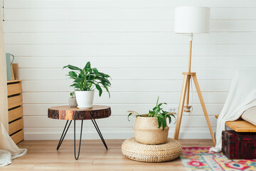 Modern interior with plants on wooden table. Cozy interior in boho style. Real photo