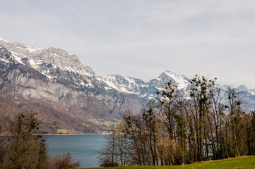 Fototapeta premium Churfirsten, Selun, Frümsel, Brisi, Zuestoll, Schibenstoll, Hinterrugg, Chäserrugg, Gamserrugg, Walensee, Quinten, Walenstadt, Walenstadtberg, Toggenburg, Sarganserland, Alpen, Frühling, Schweiz