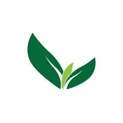 Fototapeta premium leaf logo vector template ilustration and icon design
