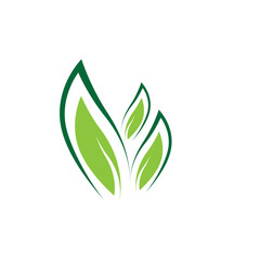 leaf logo vector template ilustration and icon design