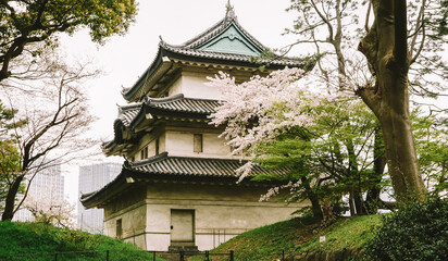 Tokyo in full cherry blossom season