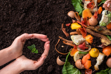 Hands holding young plant against of organic waste and black soil with a copy space