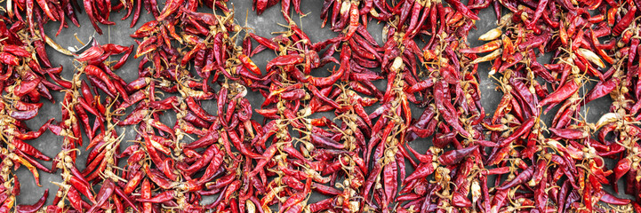 Hungarian paprika garlands drying in the sun in Budapest, Hungary. Panoramic background